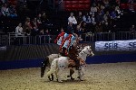 Quadrille - 00224
